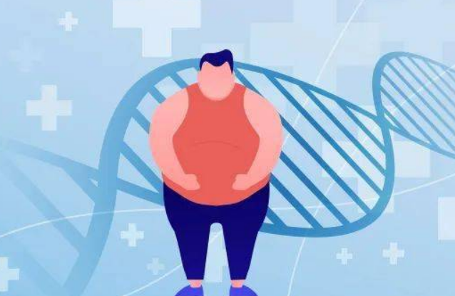 潍坊成人肥胖与代谢基因检测